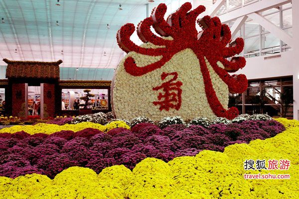 北京：给中秋国庆添色彩 国际鲜花港绚丽菊花展（组图）