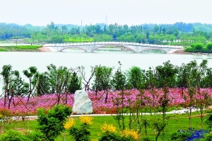 北京最大湿地公园开门迎客