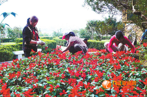 九江：摆花布景 花团锦簇迎国庆（图）