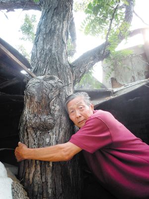 百岁香椿树 “儿孙绕膝”