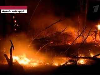 俄阿尔泰森林火势严峻 万名居民紧急撤离（图）
