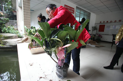 工作人员正在为今早刚下飞机的“宝莲灯”调整造型 