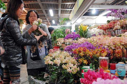 杭州：市民选购花卉喜迎春节