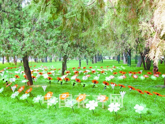 图为“记忆花朵”展示区，设计者将废旧光盘装上LED光源与亚克力支撑杆件，变成成千上万朵“发光的花朵”。