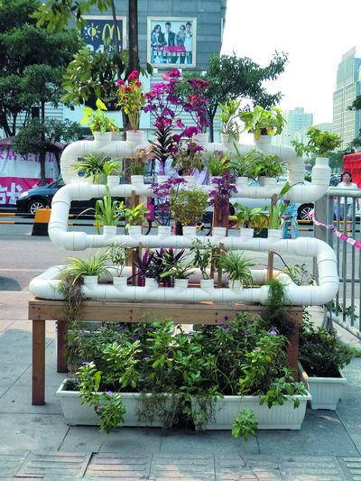 萧山街上别致的立体水管花盆（图）