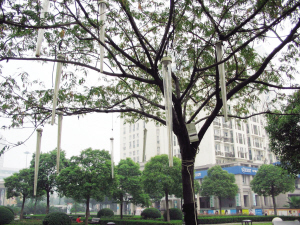 绍兴：景观灯位置过低 市民怕引发事故
