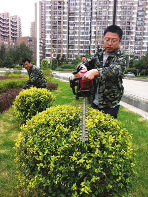 路边花草都是他的“孩子”