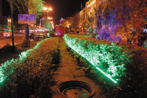 亮化损了绿化 专家:长期灯照影响植物生长