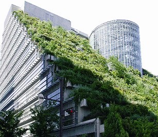 北京加大屋顶绿化推广力度 让秃顶变绿顶