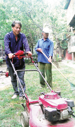 天津除了修剪 挨棵树找美国白蛾