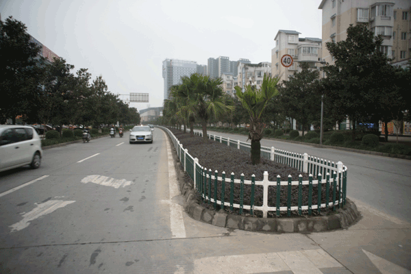 绿化带建围栏 眉山东坡大道更靓丽(图)