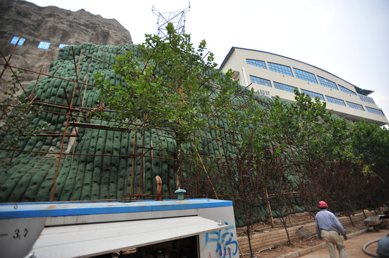 山东历下区在全市率先尝试山体挂袋绿化技术