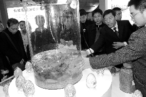 山东金正大缓释肥产品技术先进