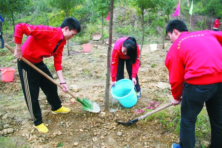 昨日，璧山县重庆机电职业技术学院，大学生现场专心植树