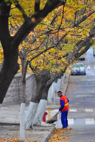 工人正在清理落叶