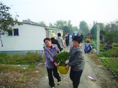 村民突闯园林强搬盆景 只为收回被征用土地