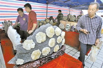 这次奇石展来了许多新鲜的玩意，这种“石花”栩栩如生，堪比真的石头上开花。