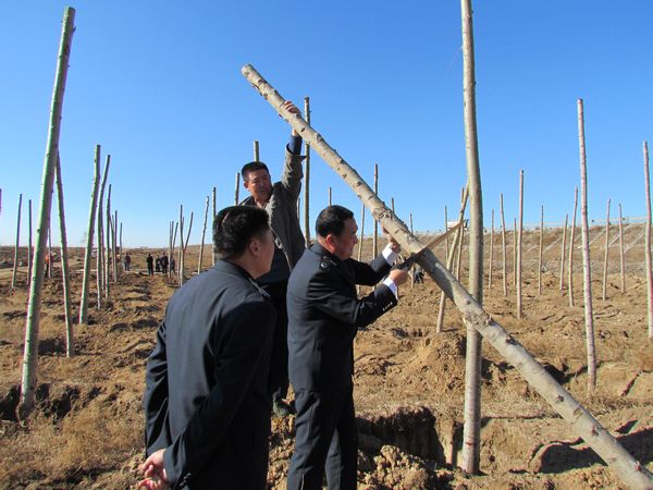 内蒙古乌兰察布市展开高速公路绿化检疫