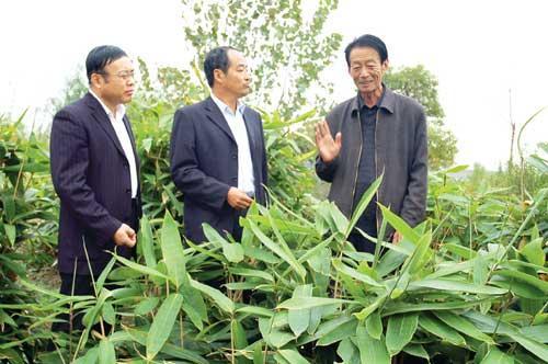 花汉民指导生态园林建设