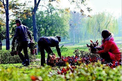 市民：看别人拿我也想搬几盆