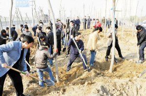 机关干部职工集体义务植树