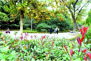 青岛沧台路小区打造独特绿化景观