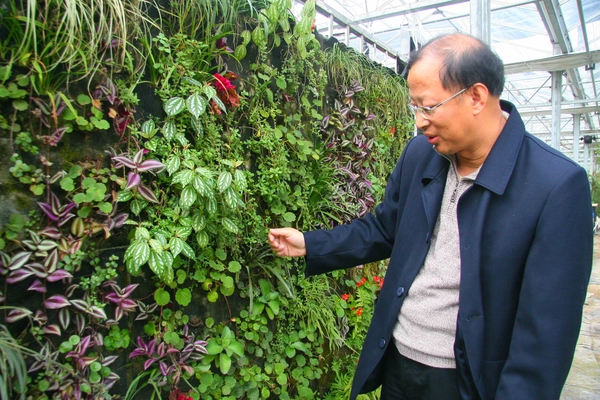 浙江：专利植物幕墙产品款式多