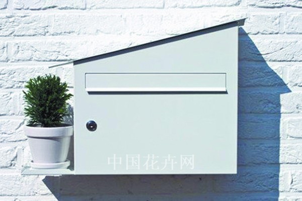 会灌溉植物的绿色壁挂式信箱(图)