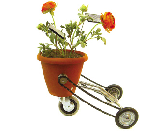 会“走路”的花盆