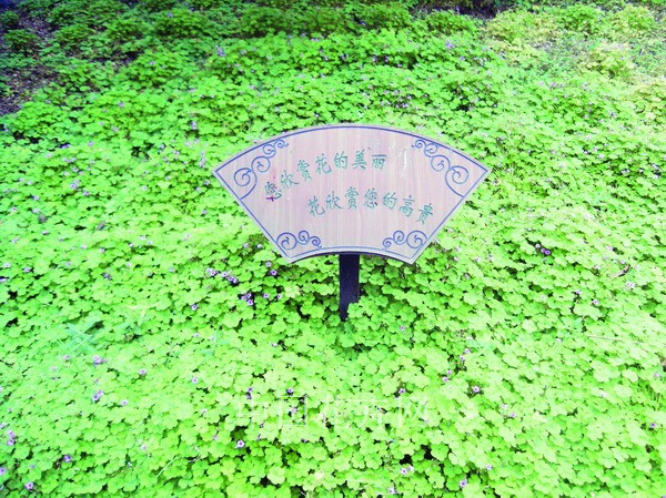 提升绿地文化水平 从雷人标牌说起(图)