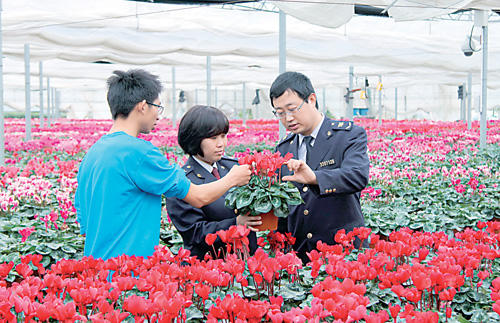 浙江嘉兴：预防进境苗木花卉有害生物