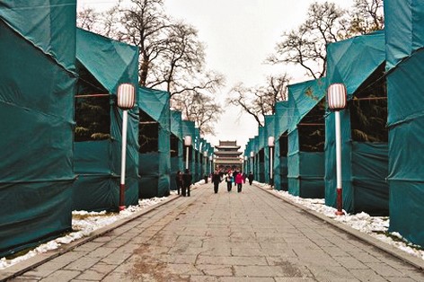 太原迎泽公园为雪松搭起了防寒风障(图)