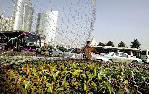 武汉：鲁巷转盘绿化带安装上彩灯(图)