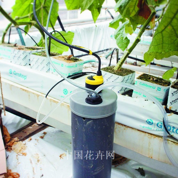 2011年HortiFair技术性创新奖提名