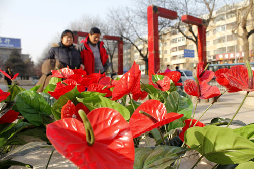 西宁市摆放了14640株绢花美化街道(图)