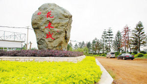 昆明泛亚花木城从“幕后”走向“前台” 蓄势待发