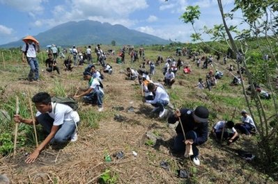 种树活动现场。