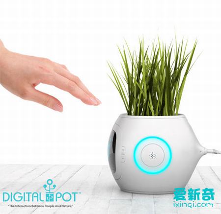 神奇的电子花盆
