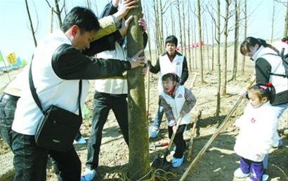 2007年，宝山区百户家庭和晨报员工及家属在罗泾水源涵养林共同栽下第二片“新闻晨报林”。