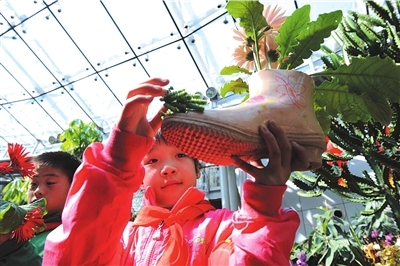 北京植物园里用废旧容器环保种花