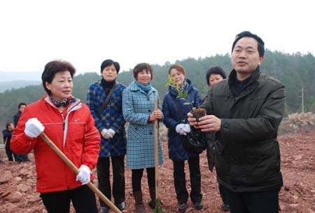 安徽：植树造林好时节 特色苗木受青睐