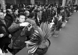 十大花魁将现场拍卖
