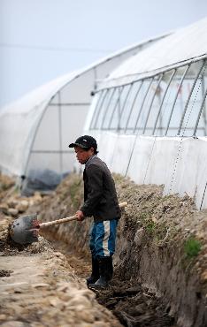 江西省安远县凤山乡大山村的一名村民在大棚旁干活