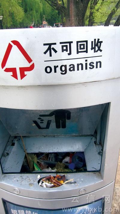 垃圾箱突“张嘴” 吓着不少市民