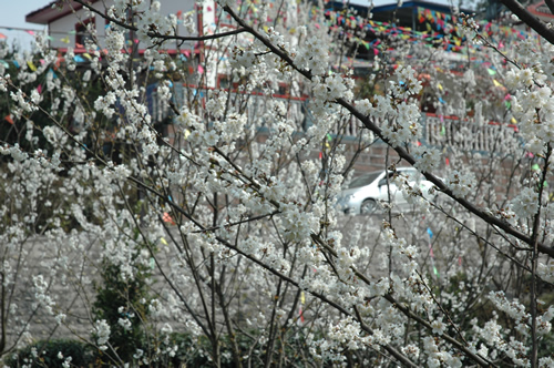 2011年四川省乡村旅游节今日开幕 