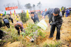 重庆：成师傅一家年年植树好几回 十年植树上百株