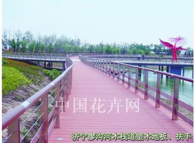 河滨绿化的塑木应用