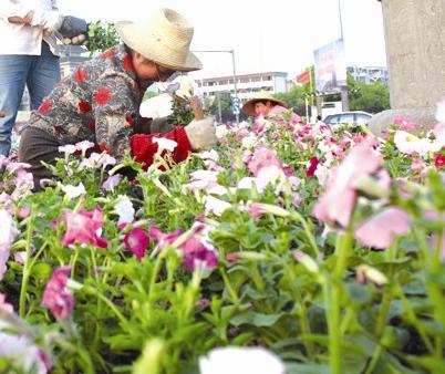 花团锦簇气氛浓 荆州城区“梳妆打扮”迎“五一”