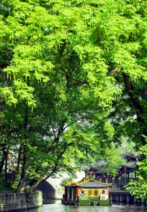 江苏扬州：打造绿杨城郭 建设林水之州