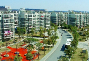 江苏扬州：打造绿杨城郭 建设林水之州